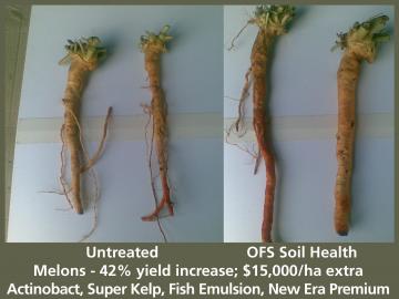 Maximising you crop potential.